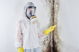 Best Emergency Mold Remediation  in Moundridge, KS